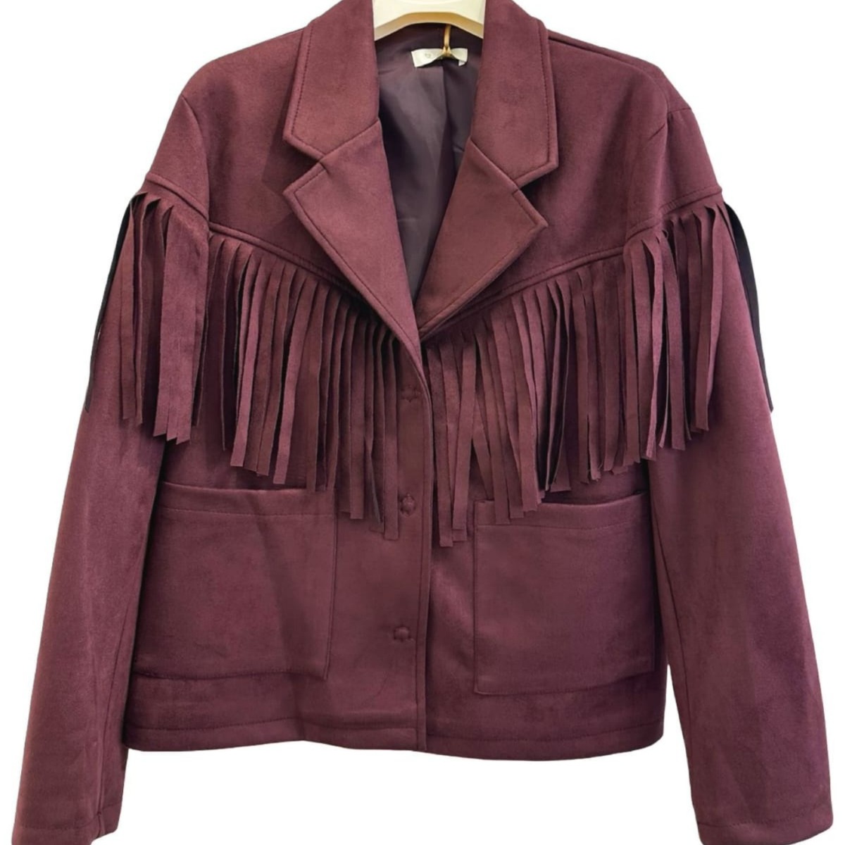 Western Fringe Suede Jacket