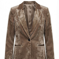 Siena Velvet Blazer