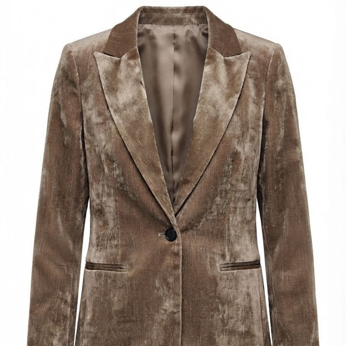Siena Velvet Blazer